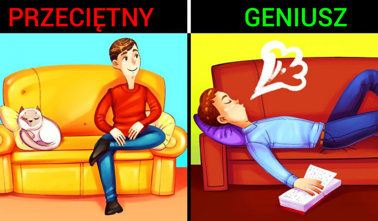 Te cechy wskazują, że to ponadprzeciętna inteligencja